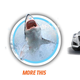 Illustration for article titled Cadillacs New Naming Convention Is Proof Alphanumerics Are Finished